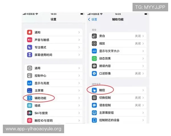如何在苹果手机上顺利下载壹号娱乐应用的实用技巧