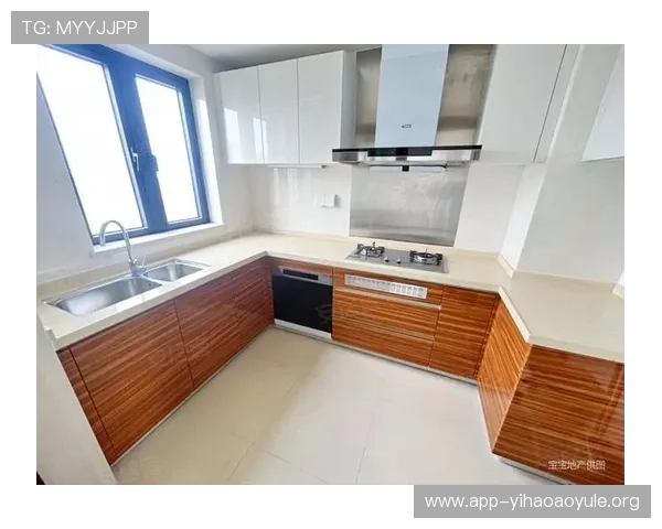 作品壹号房子的设计风格与功能特色全面解析与用户评价